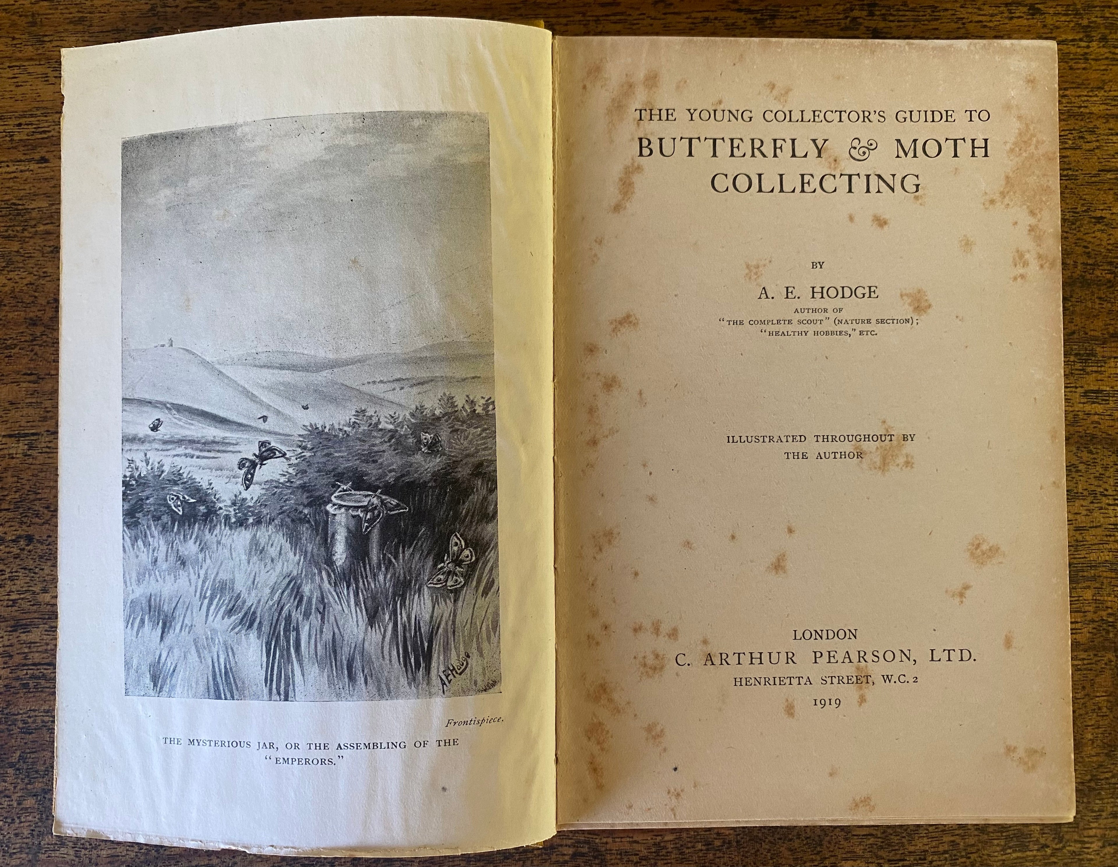 Butterfly and Moth Collecting - Hodge, A. E.
