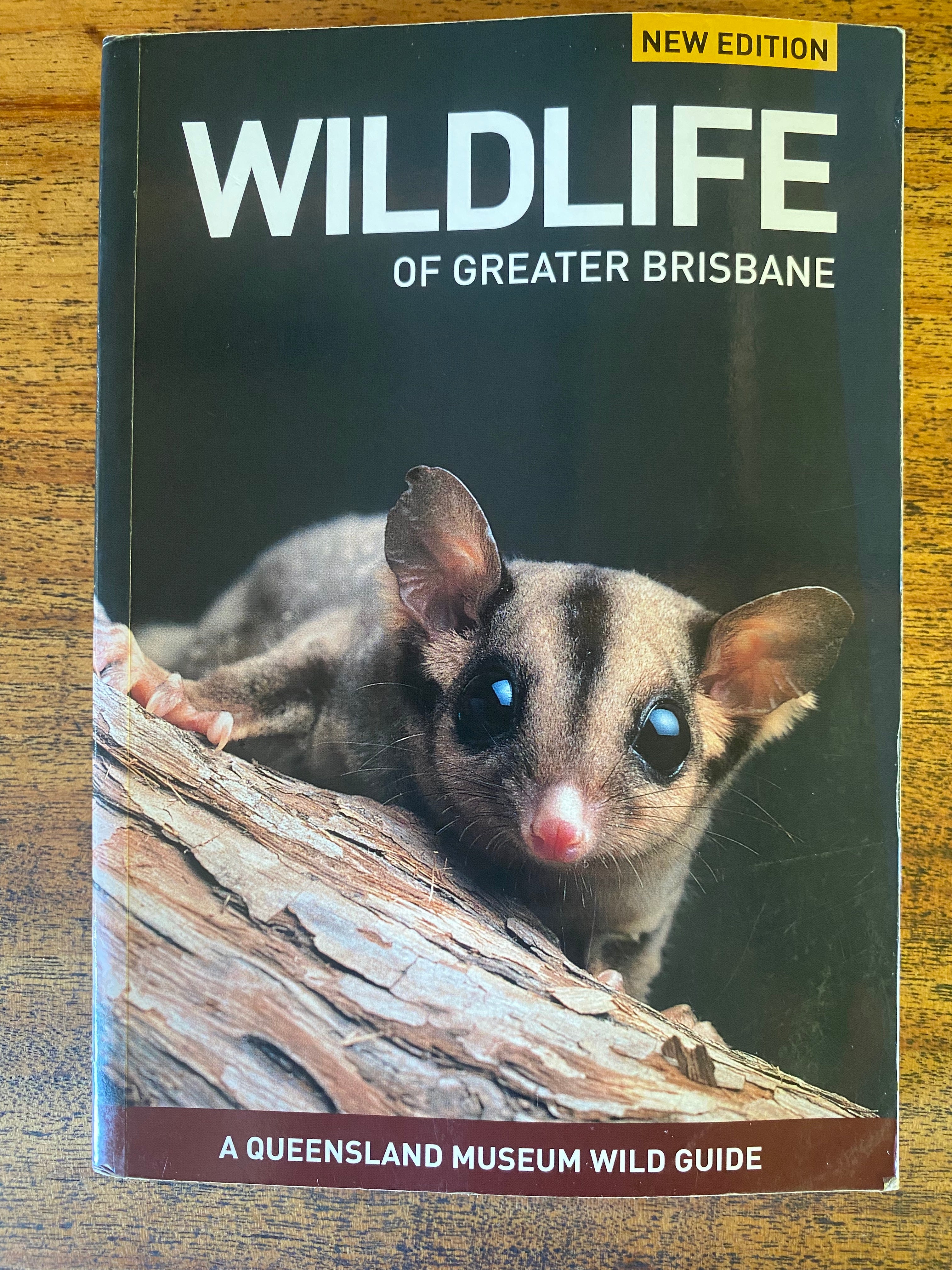 Wildlife of Greater Brisbane