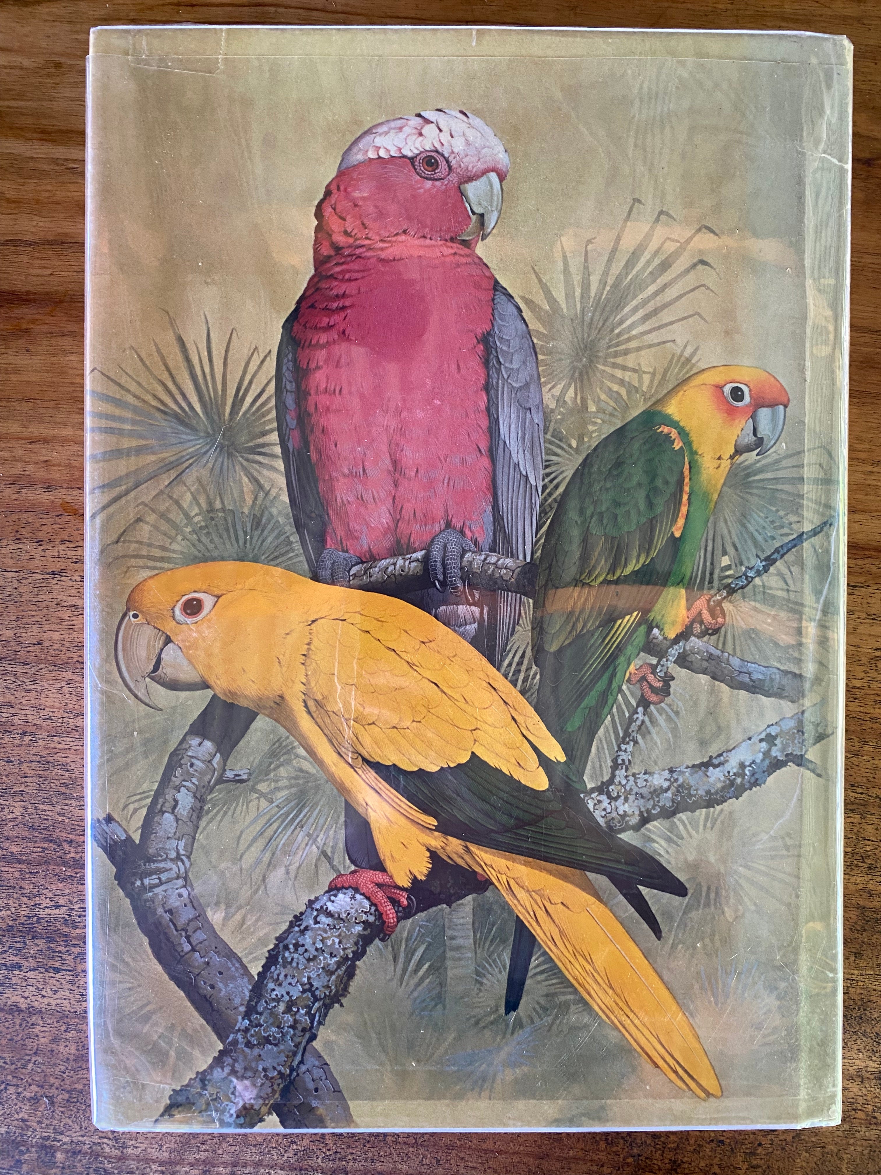 Parrots of the World - Forshaw, Joseph M.