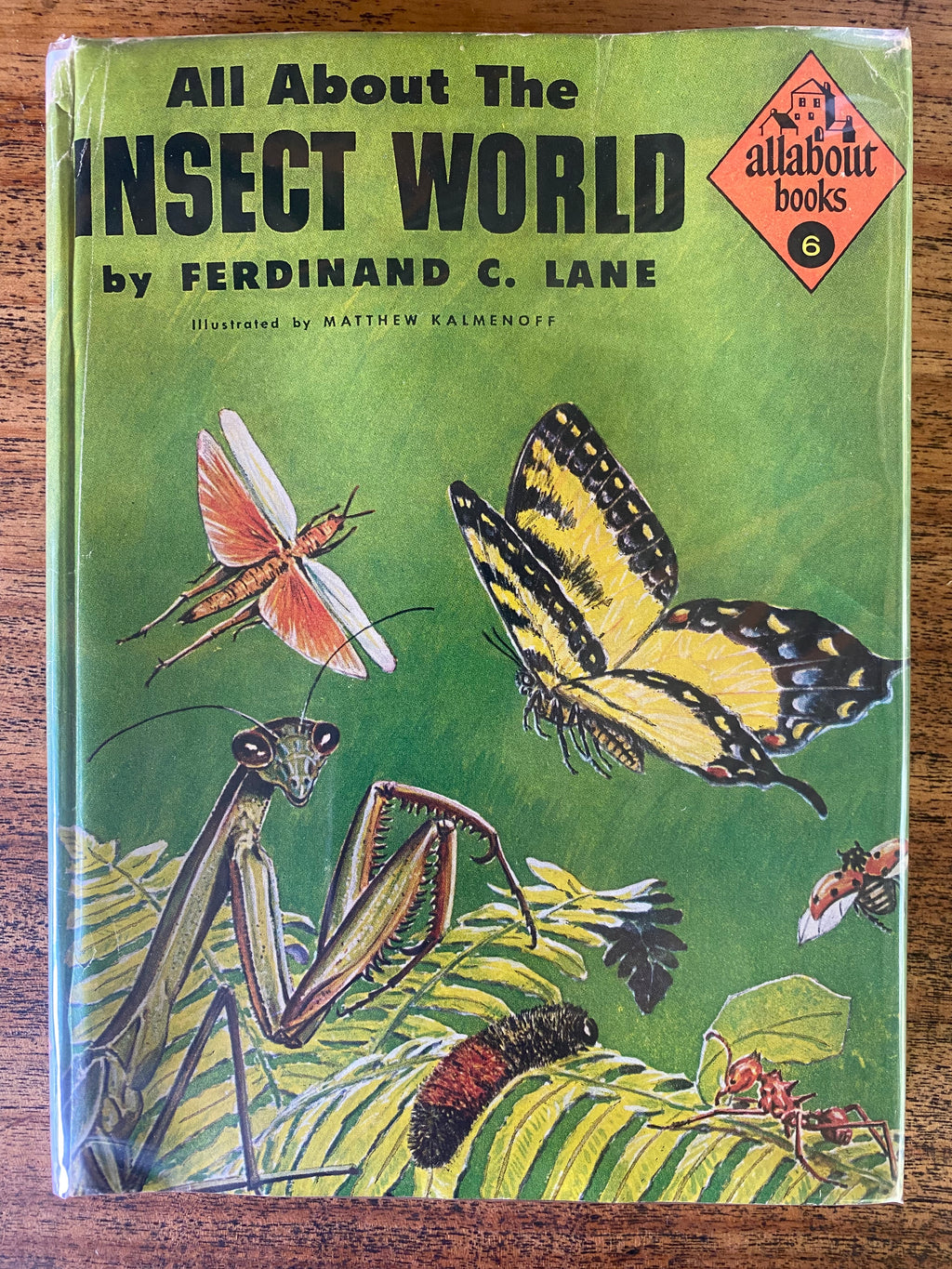 All About the Insect World - Lane, Ferdinand C.