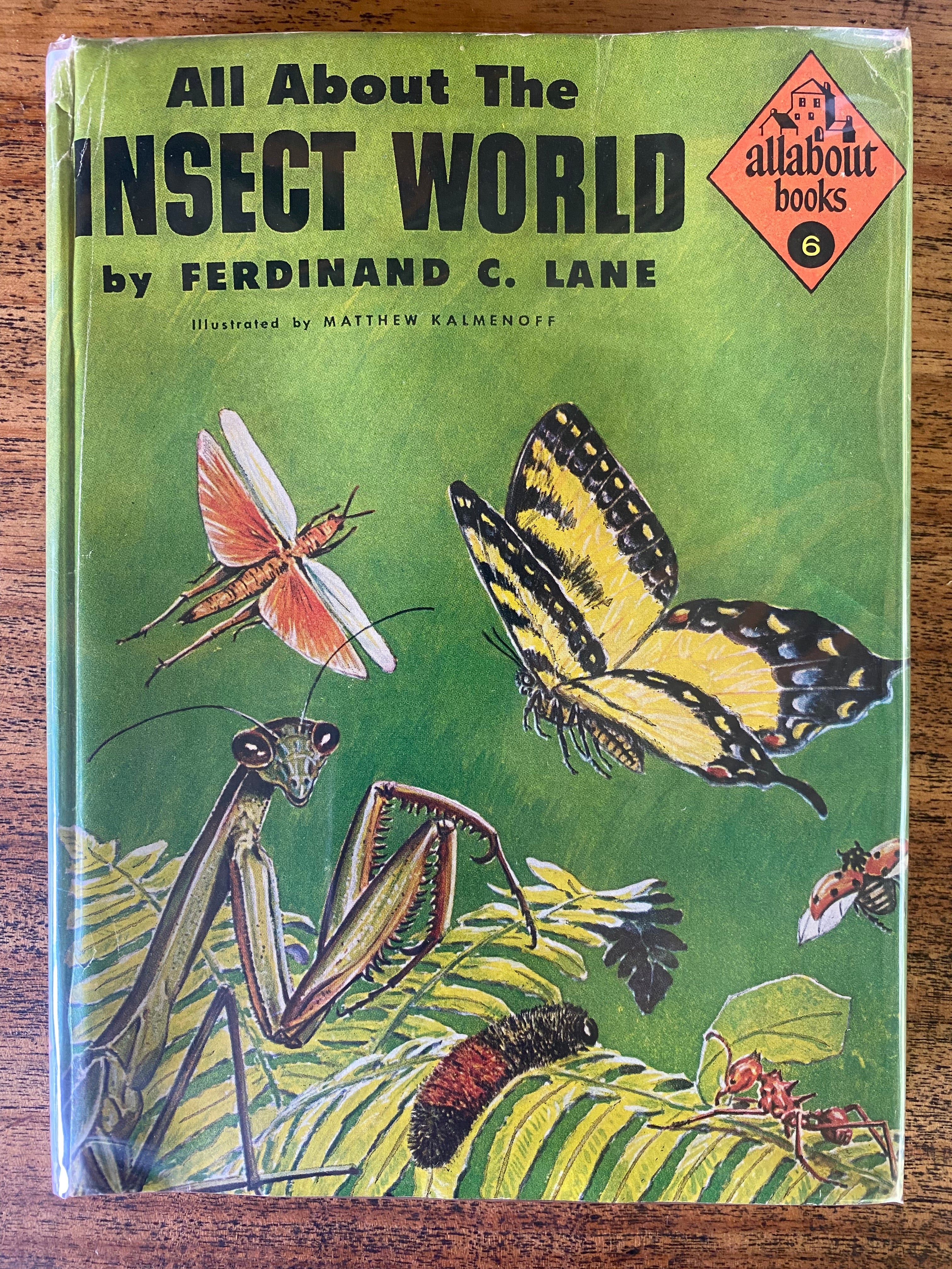 All About the Insect World - Lane, Ferdinand C.