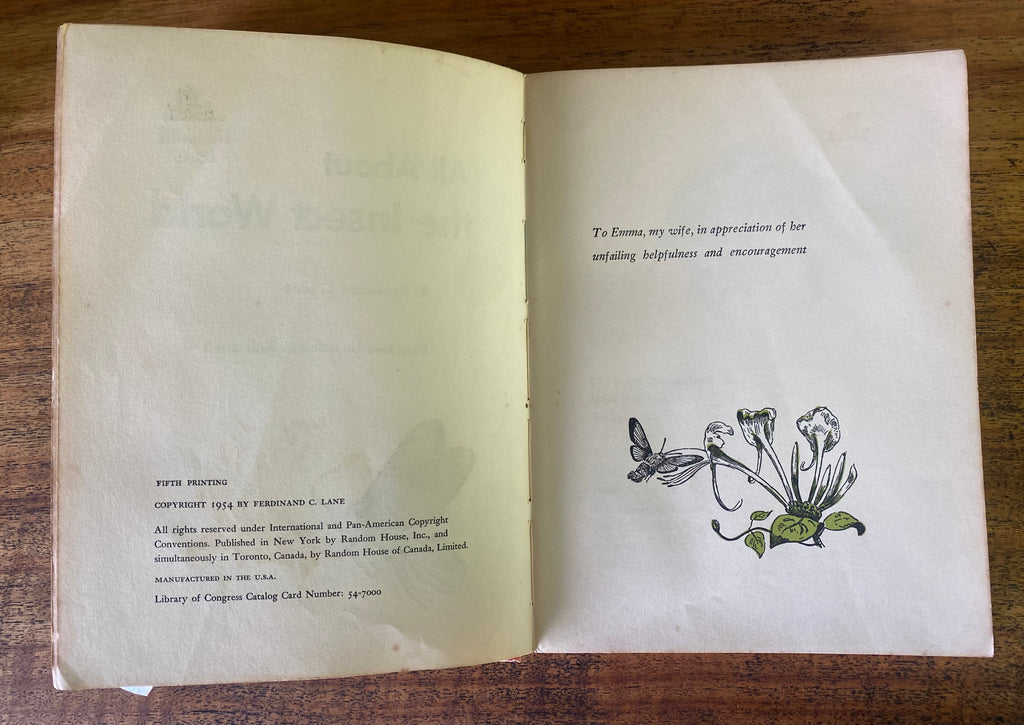 All About the Insect World - Lane, Ferdinand C.
