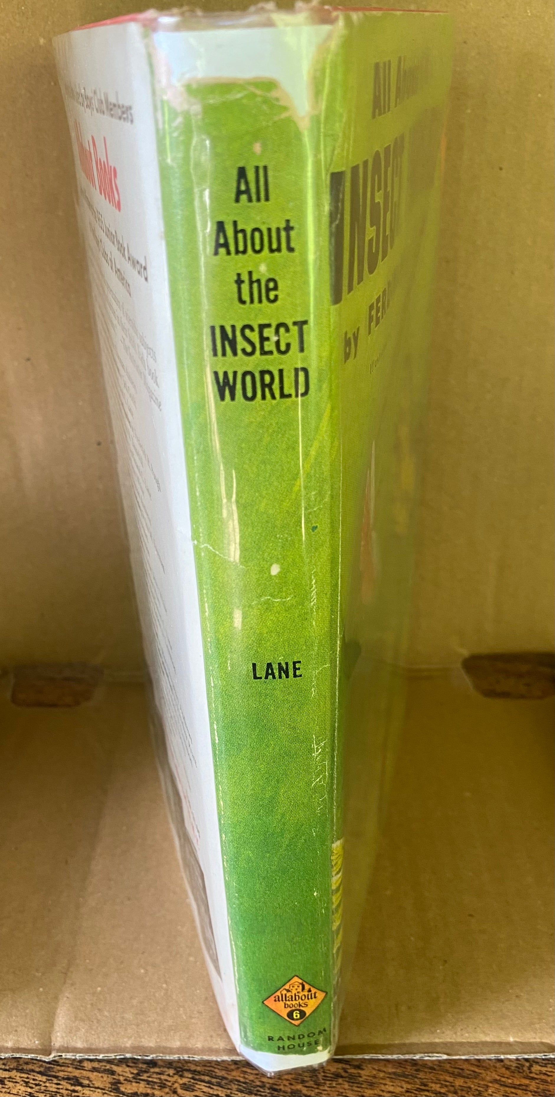 All About the Insect World - Lane, Ferdinand C.