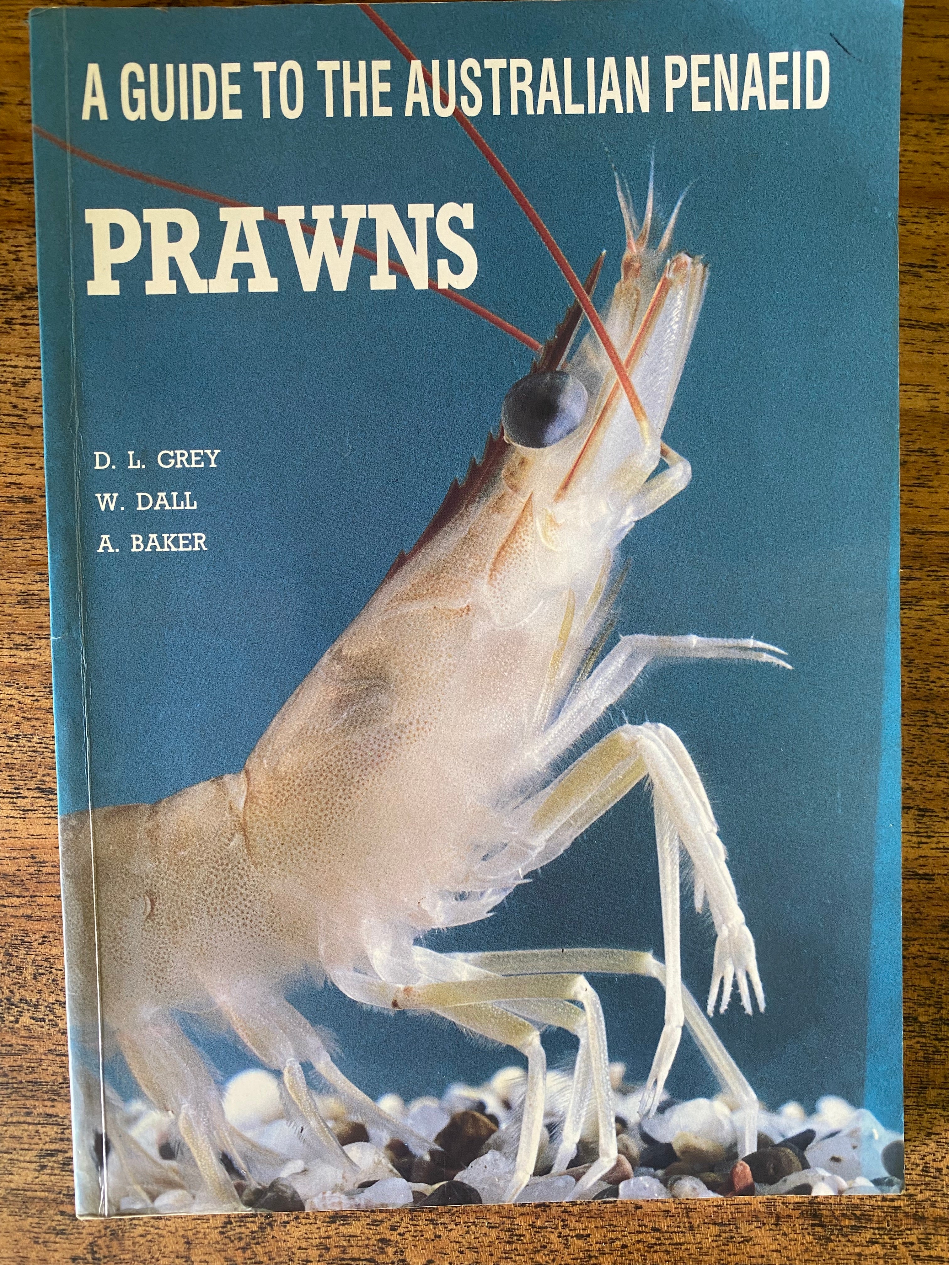 PRAWNS; A Guide to the Australian Penaeid - Grey, D. L., Dall, W. & Baker, A.