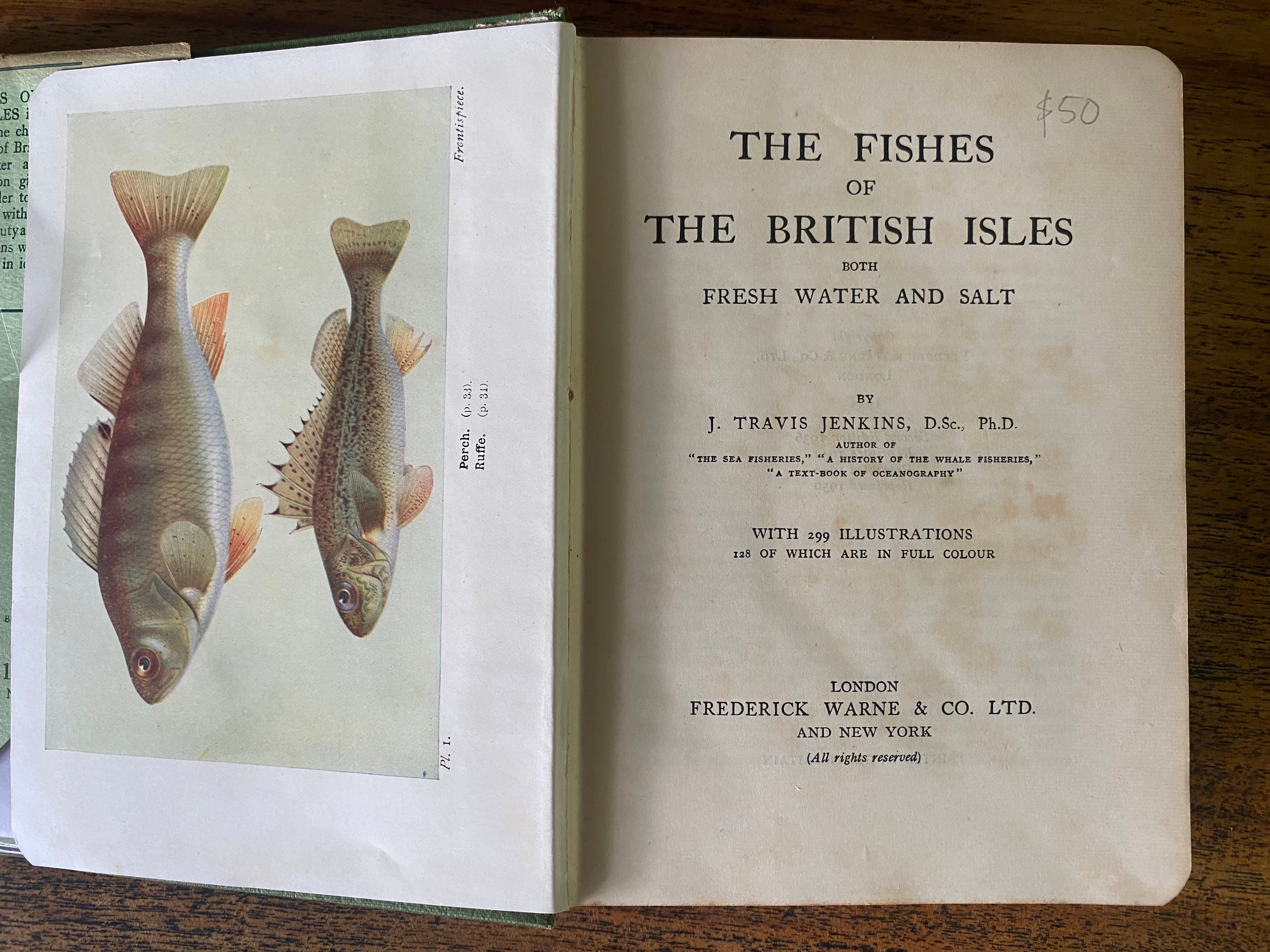 The Fishes of the British Aisles - Jenkins, J. Travis
