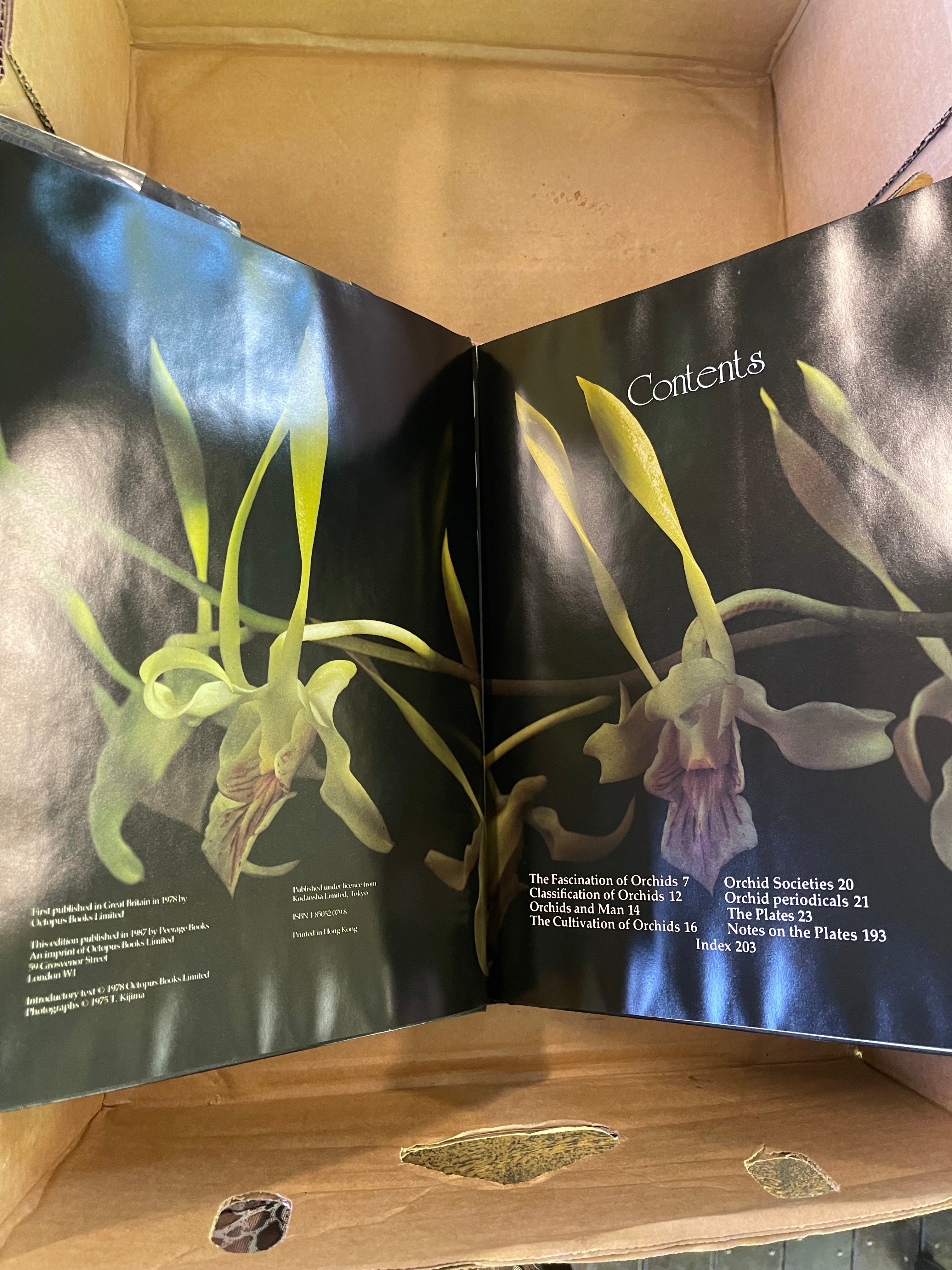 The Orchid - Hunt, P. Francis