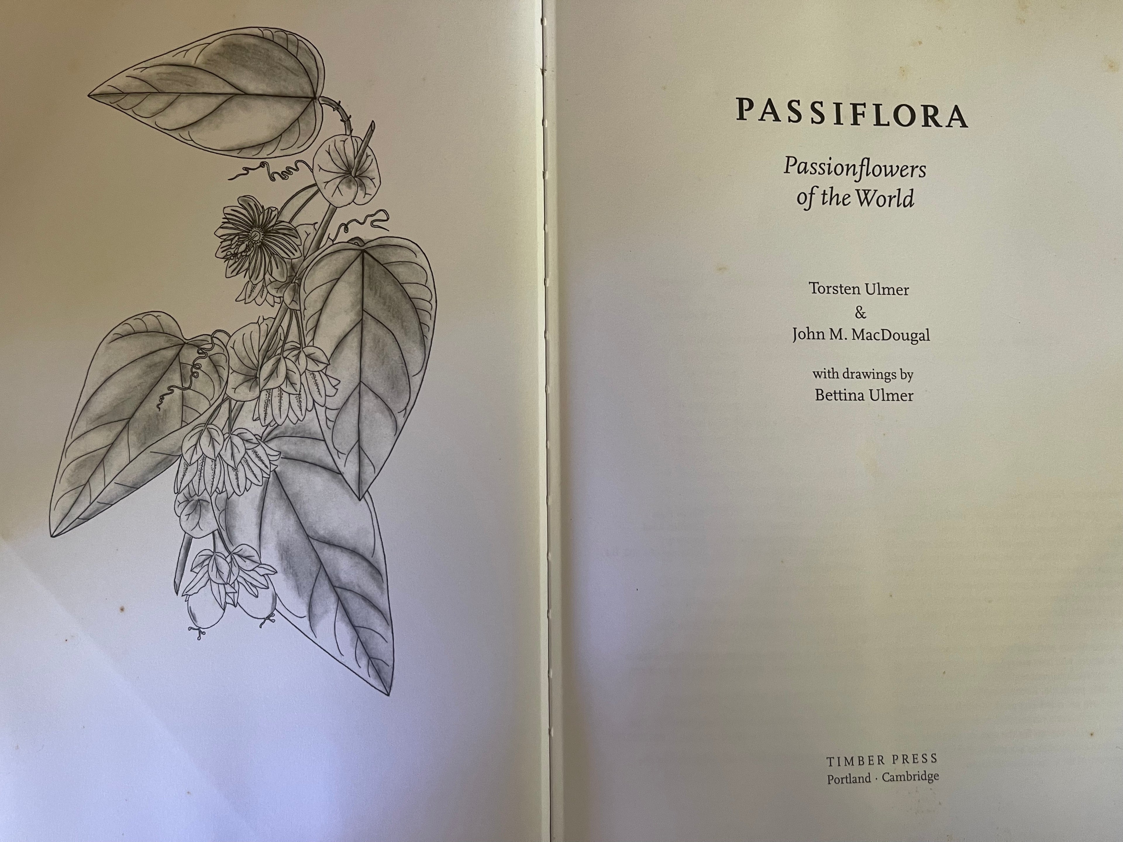 Passiflora: Passion Flowers of the world - Ulmer, Torsten & Mac Dougal, John M.