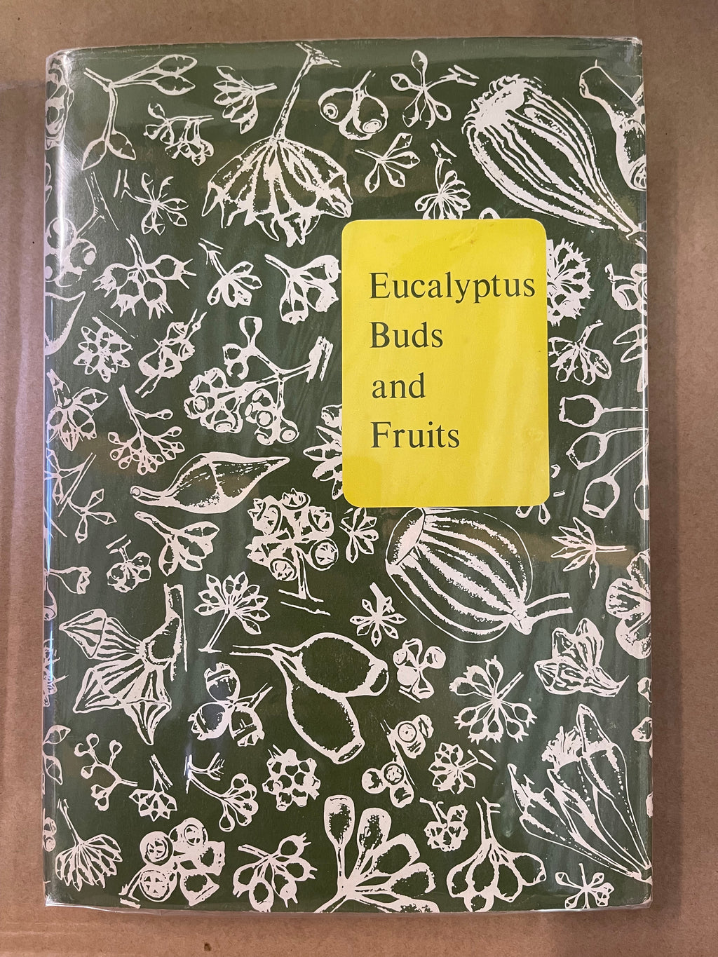 Eucalyptus Buds and Fruits — Chippendale, G. M.