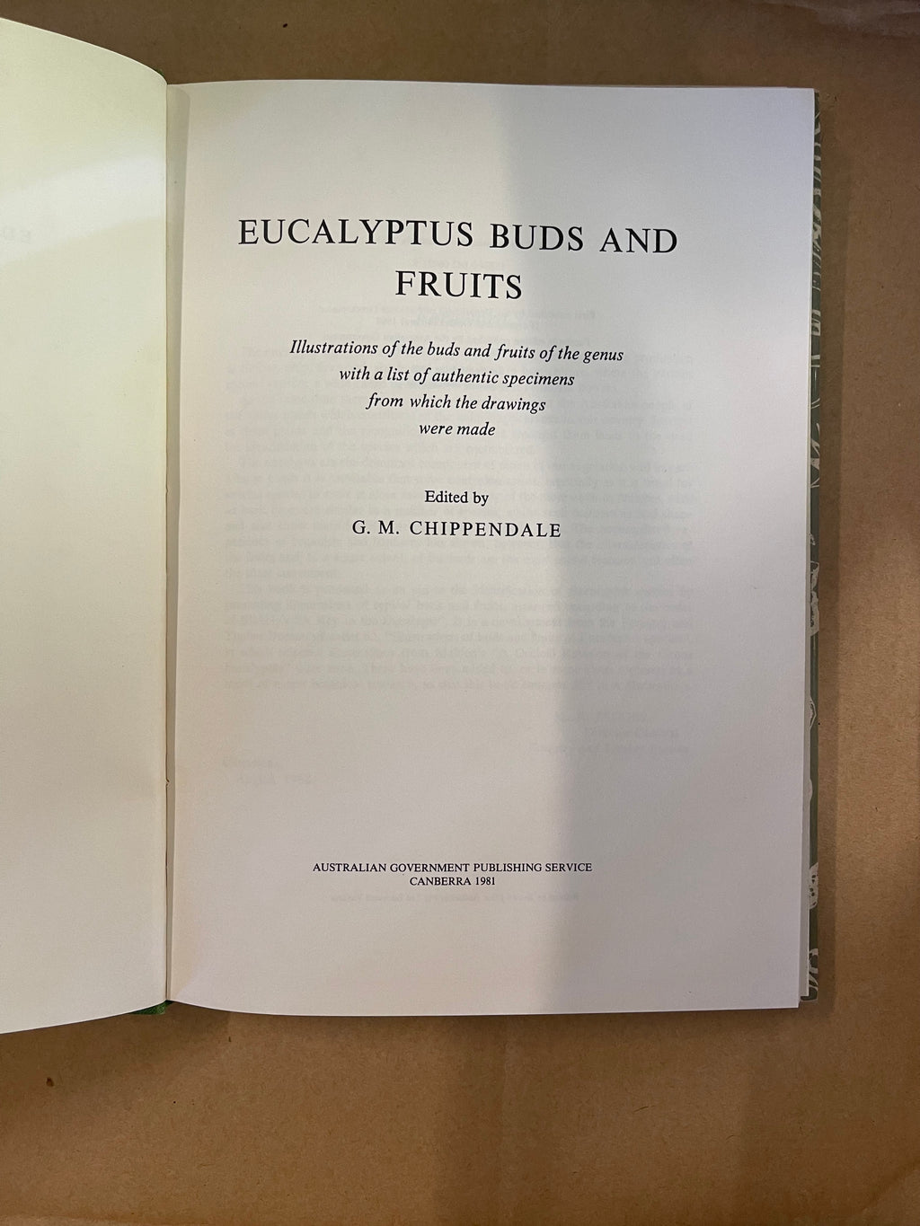 Eucalyptus Buds and Fruits — Chippendale, G. M.