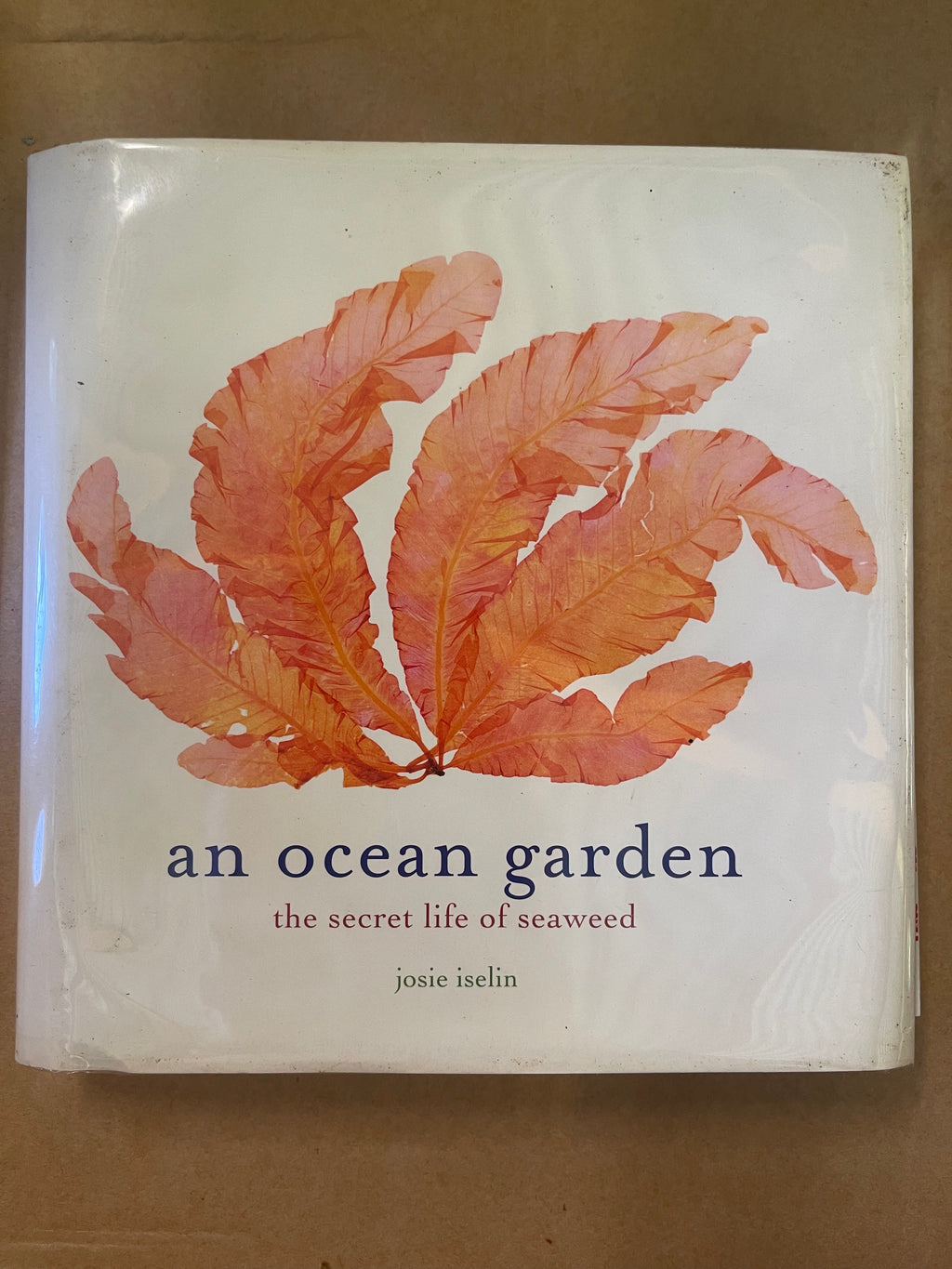 An Ocean Garden: The Secret Life of Seaweed — Iselin, Josie