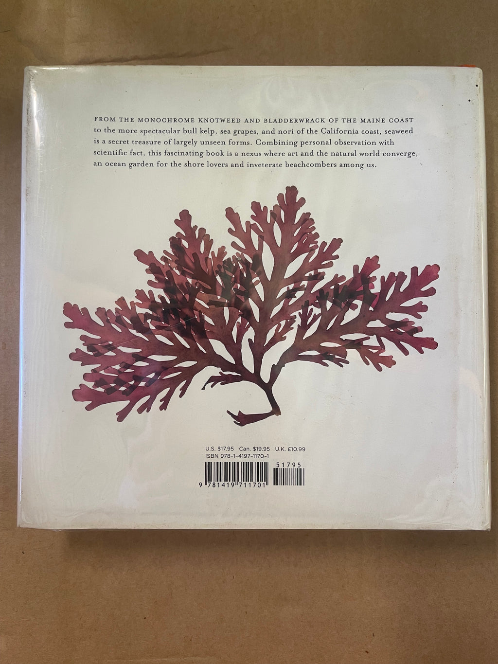 An Ocean Garden: The Secret Life of Seaweed — Iselin, Josie