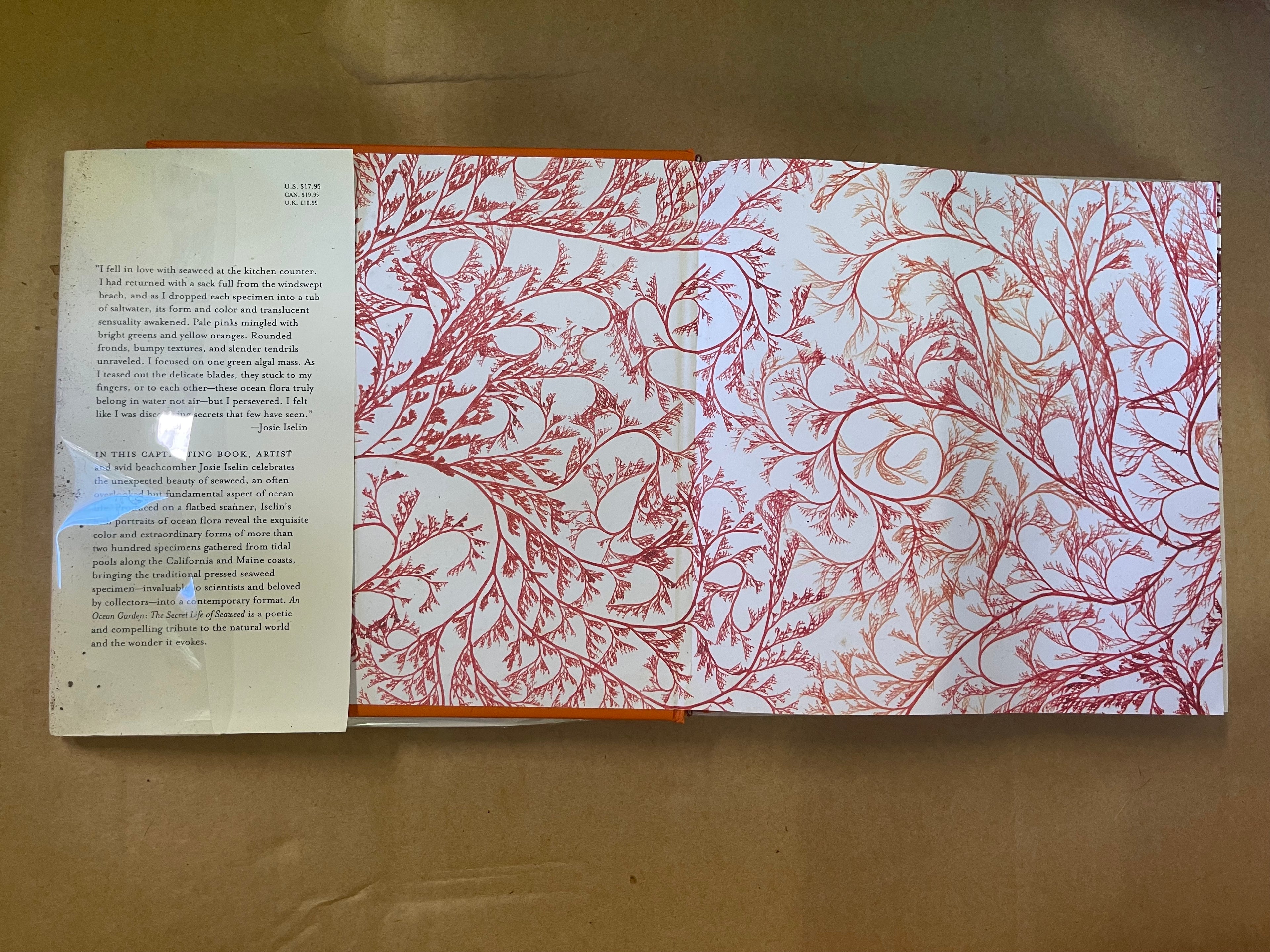 An Ocean Garden: The Secret Life of Seaweed — Iselin, Josie