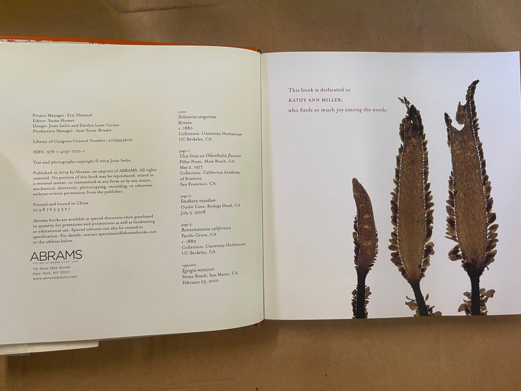 An Ocean Garden: The Secret Life of Seaweed — Iselin, Josie