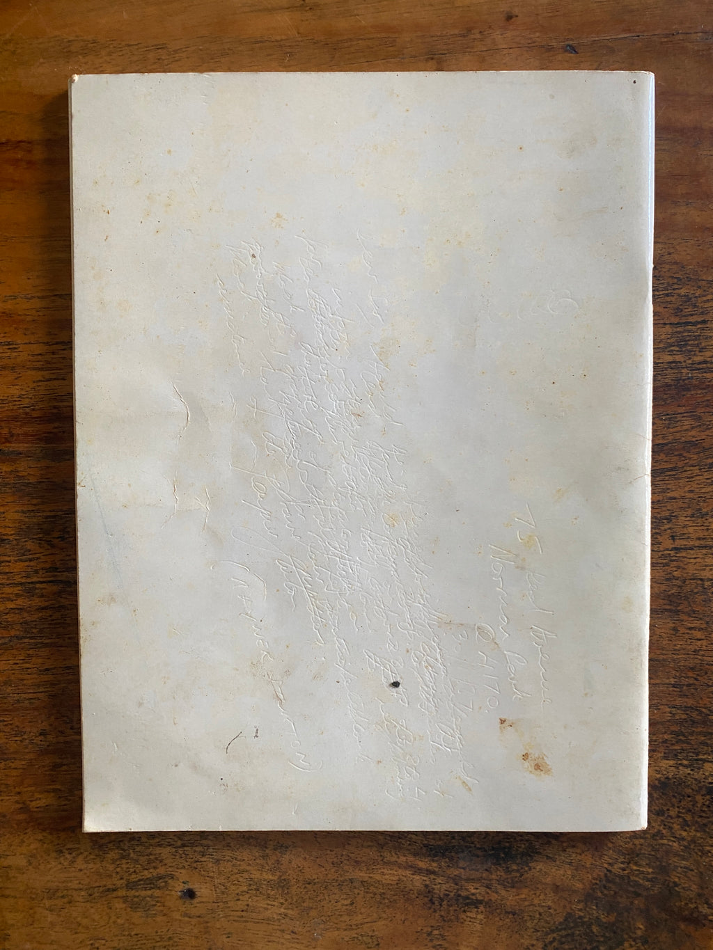 Eucalyptus of the Brisbane Region — Clifford, H. T.