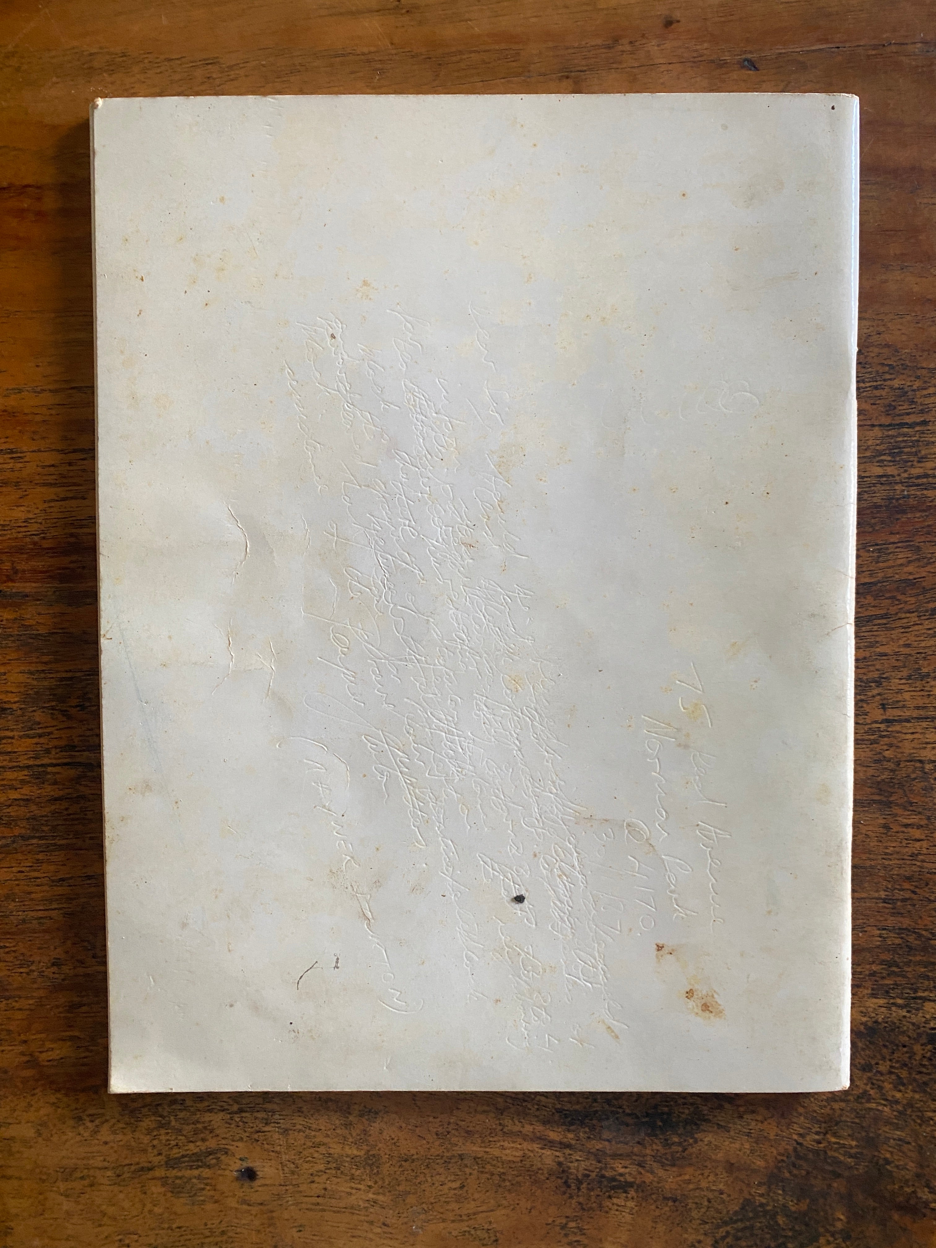 Eucalyptus of the Brisbane Region — Clifford, H. T.