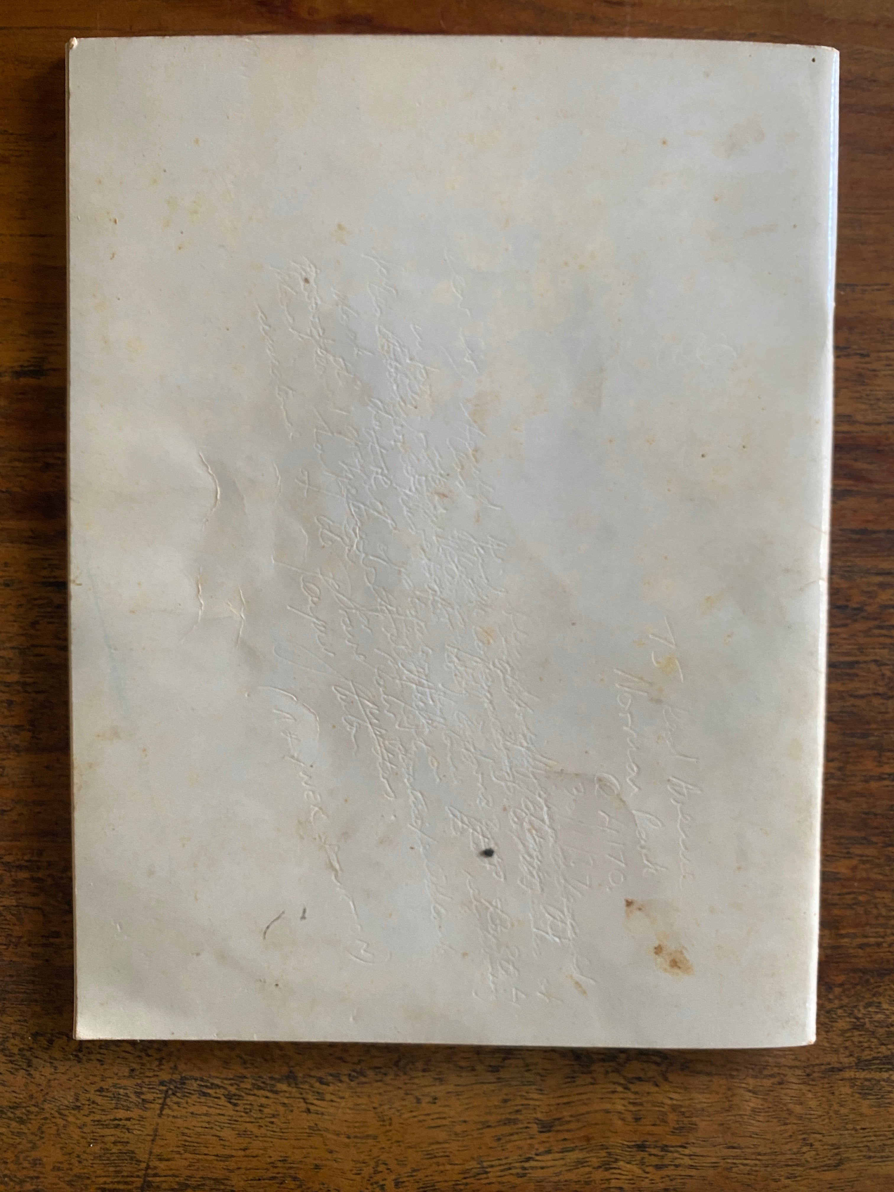 Eucalyptus of the Brisbane Region — Clifford, H. T.