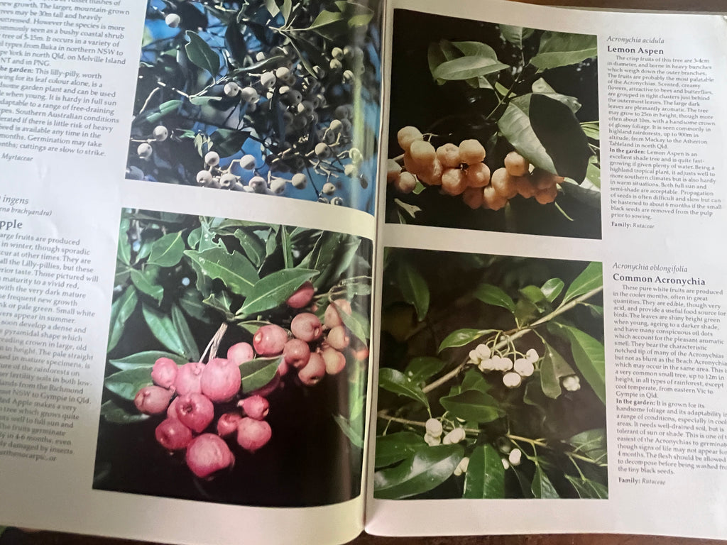 Australian Rainforest Plants — Nicholson, Nan & Hugh