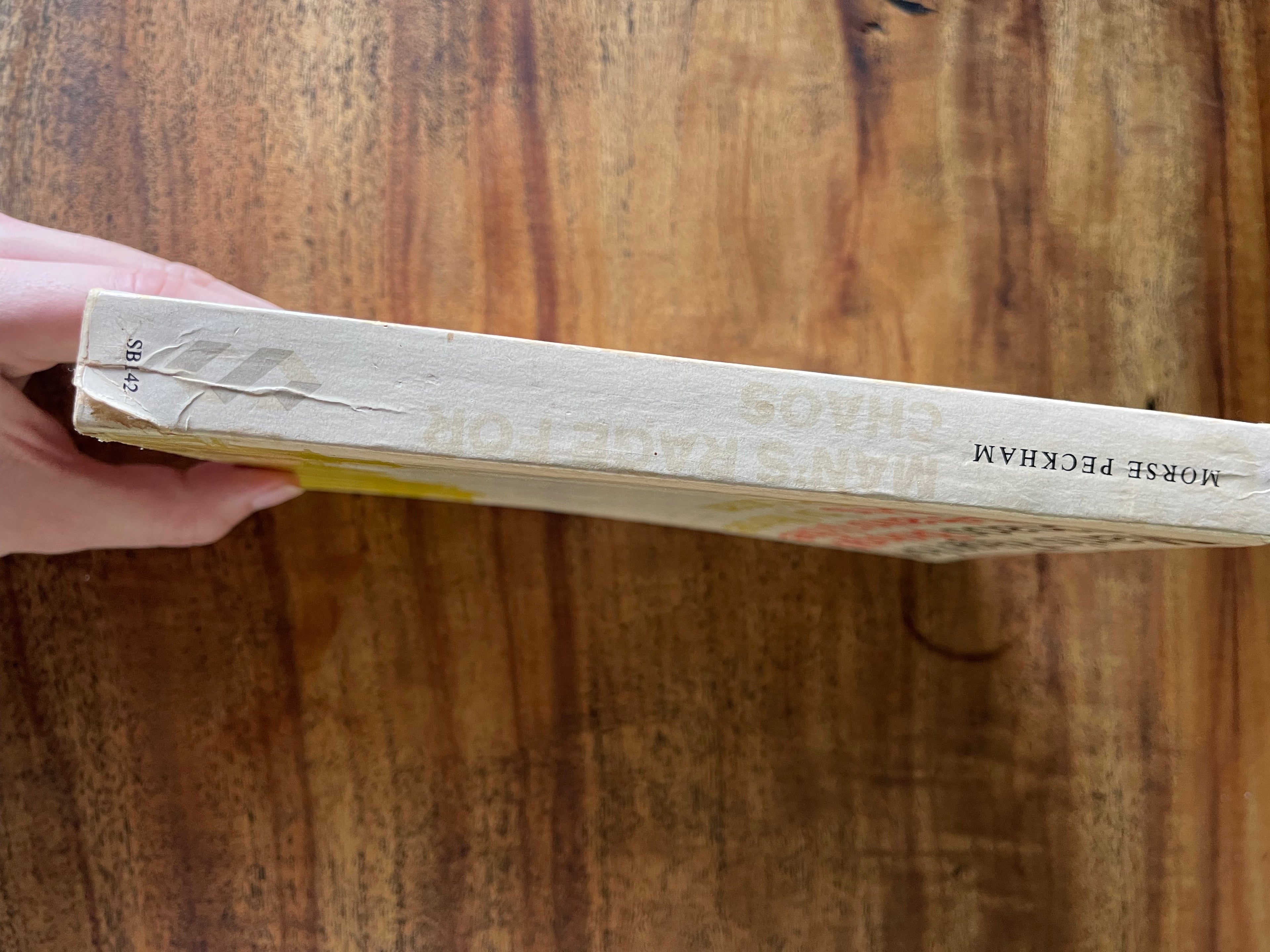 Man's rage for chaos Biology Behaviour & the arts - Peckham, Morse