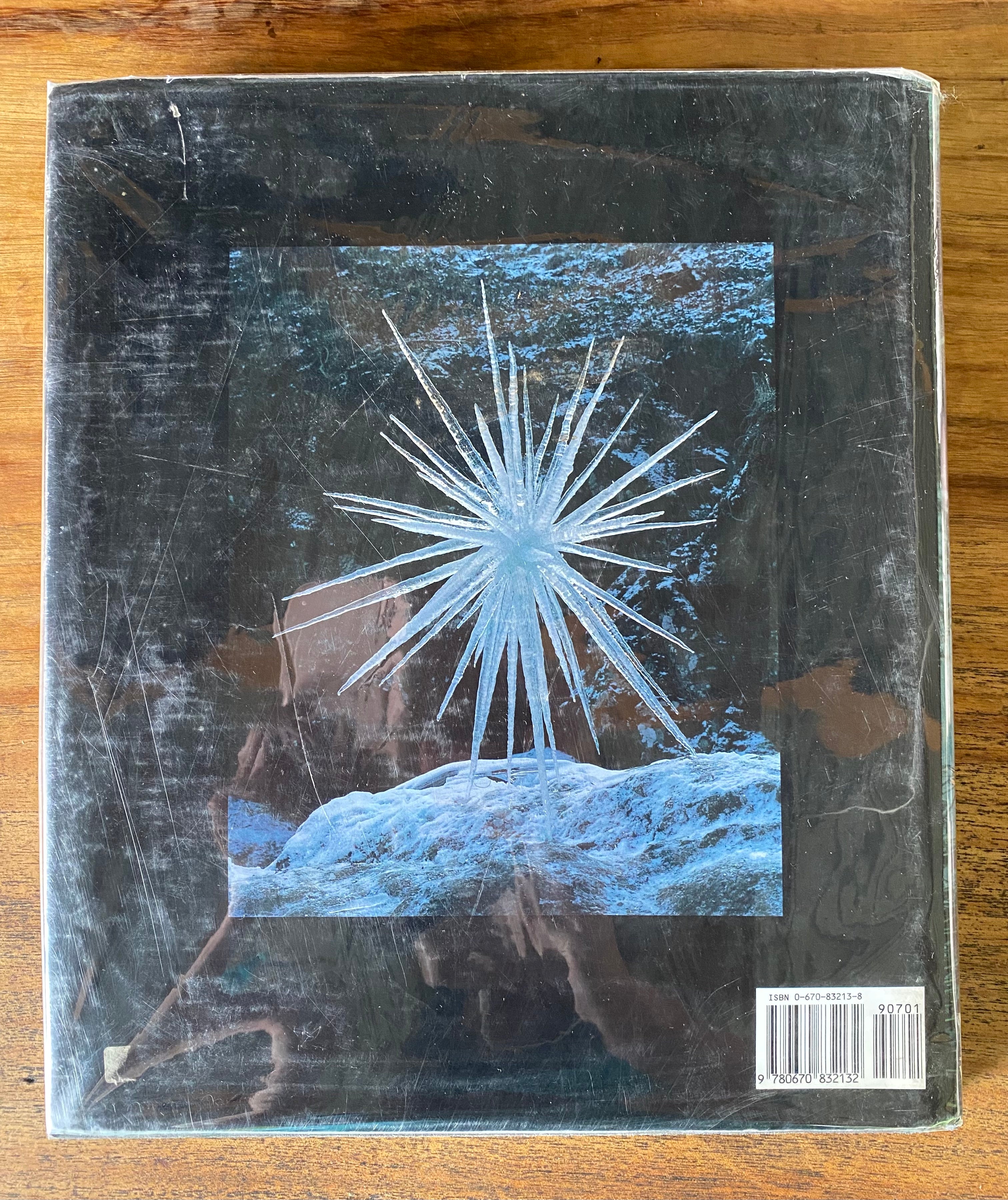 Andy Goldsworthy - Andy Goldsworthy