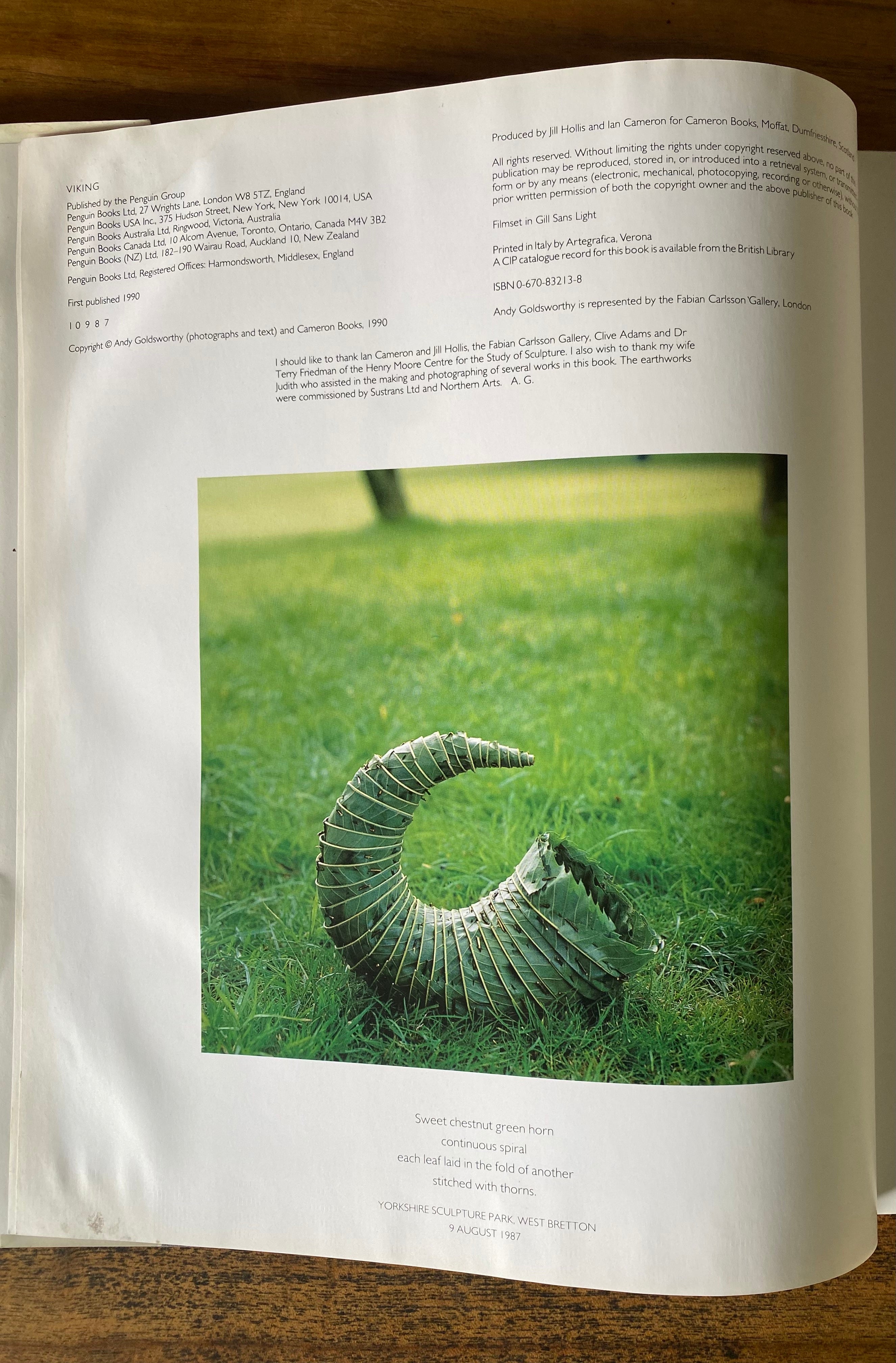 Andy Goldsworthy - Andy Goldsworthy