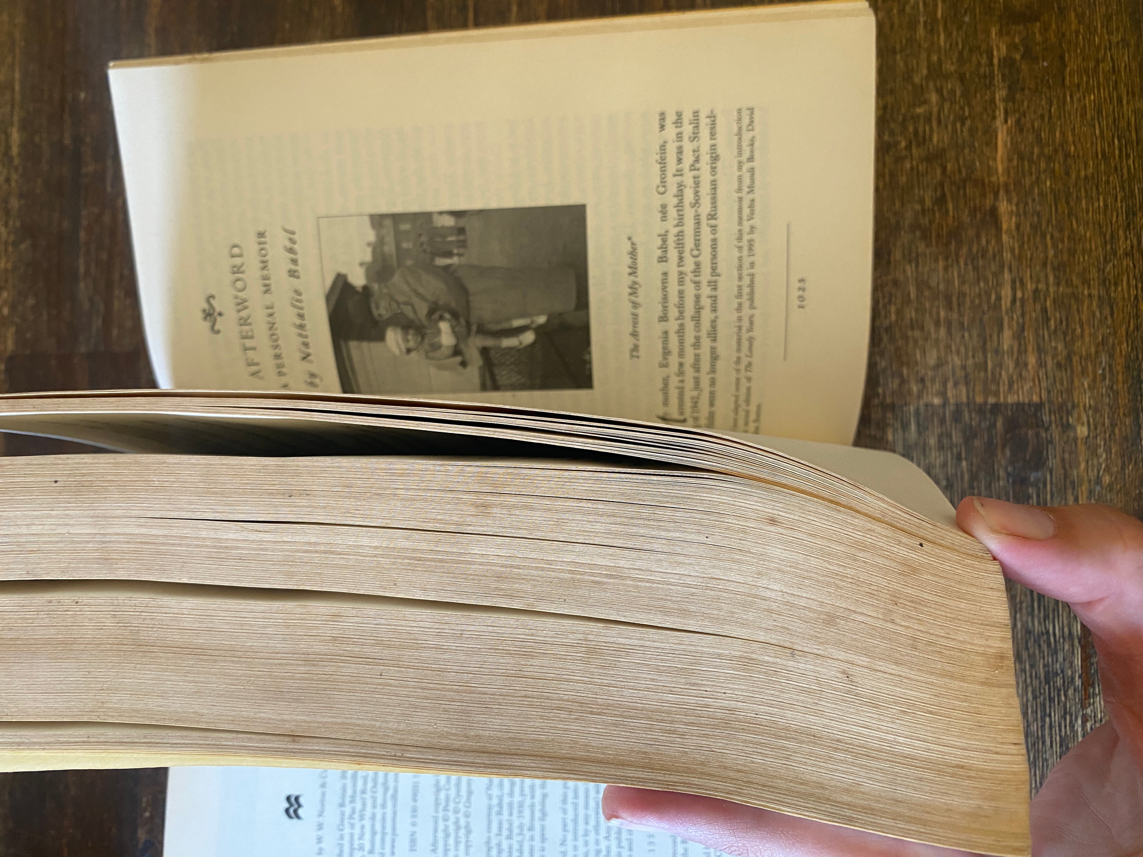 The Complete Works Isaac Babel - Babel, Nathalie
