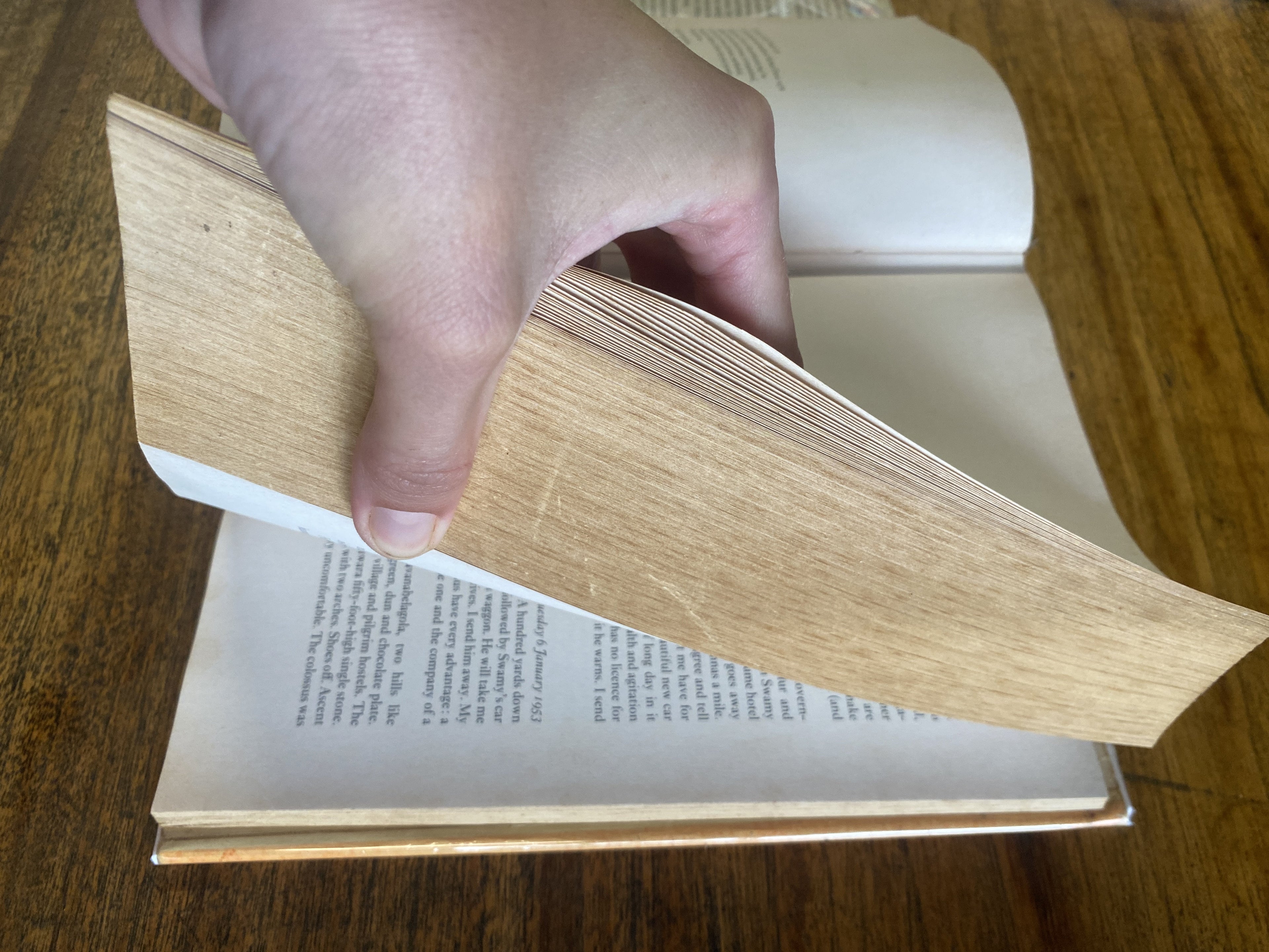 The Diaries Of Evelyn Waugh — Waugh, Evelyn (Davie, Michael ed.)
